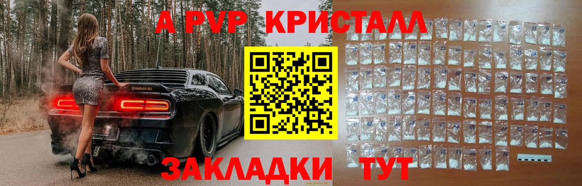 Alfa_PVP крисы CK Хасавюрт