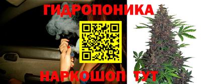 СК Анжеро-Судженск
