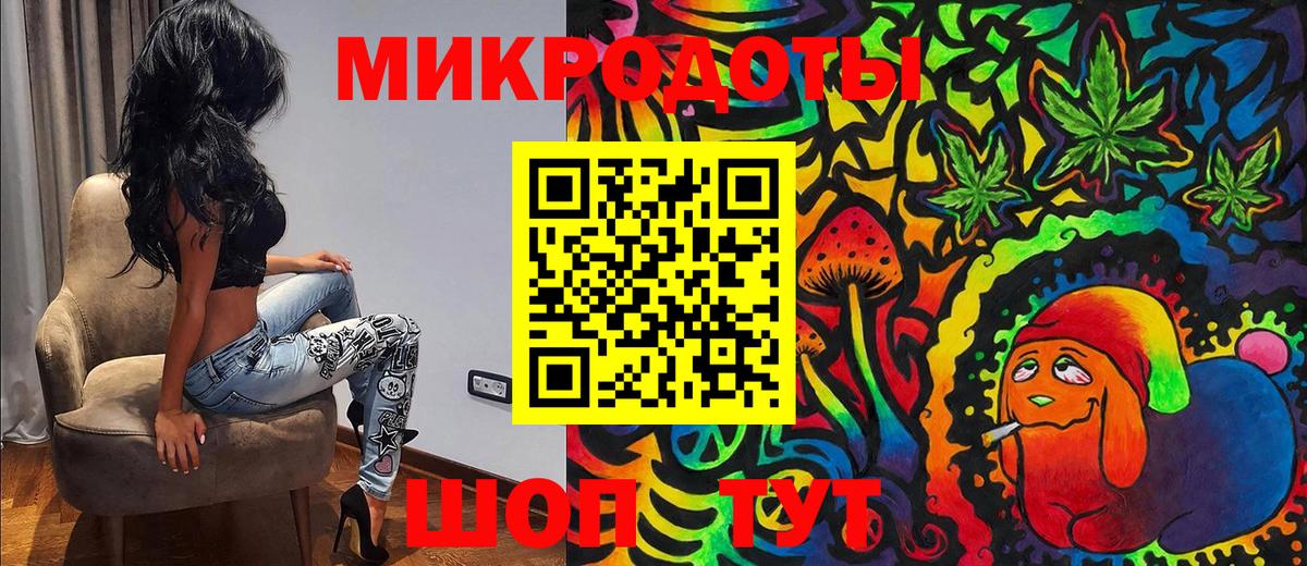 Псилоцибиновые грибы Psilocybe Хасавюрт