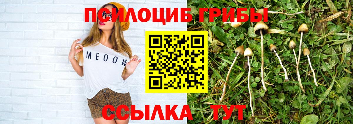 Псилоцибиновые грибы MAGIC MUSHROOMS  Галлюциногенные грибы MAGIC MUSHROOMS  Вход с VPN  Хасавюрт 